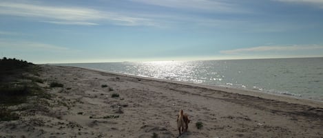 On the beach
