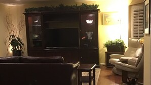 Un salon avec un canapé marron foncé, une petite table, un fauteuil beige, un téléviseur et une plante en pot.