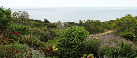 Een weelderige tuin met gevarieerde beplanting en uitzicht op zee.