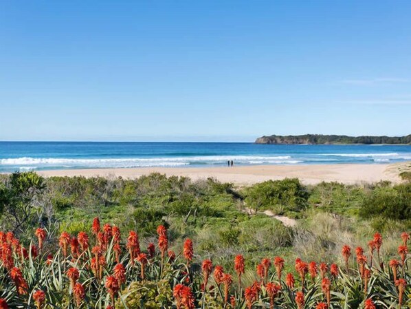 On the beach, sun loungers, beach towels - Beachfront House with direct access to the Beach. Just bring your beach towel!
 (Kiama Downs)