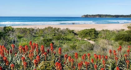 Beachfront House with direct access to the Beach. Just bring your beach towel!