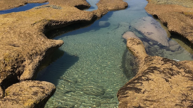 A coastal landscape with clear water channels between rocky formations. - Spacious and unique beach cottage for relaxing getaways (Barwon Heads)
