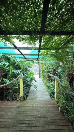 Property grounds - Spacious and unique beach cottage for relaxing getaways (Barwon Heads)