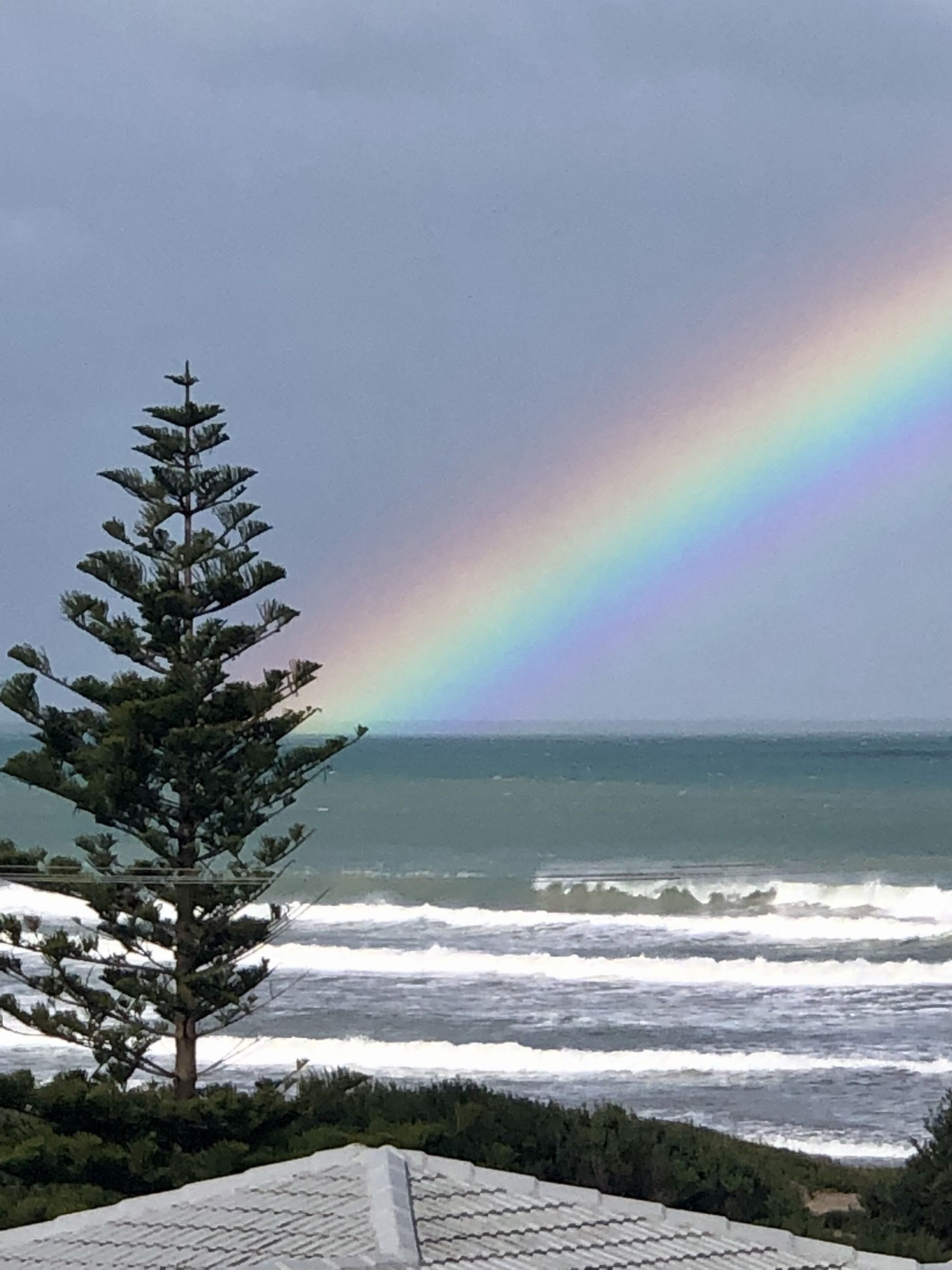 Sable Blanc on Newell - pets allowed - 3 min walk to the beach & fabulous views. — image 4