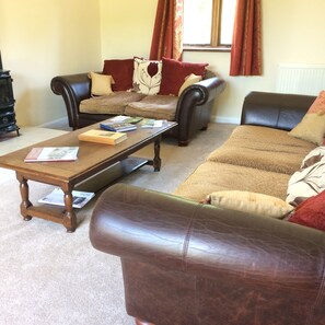 Televisor intel·ligent, llar de foc i llibres 