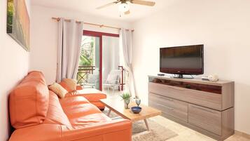 Een televisie en een filmbibliotheek