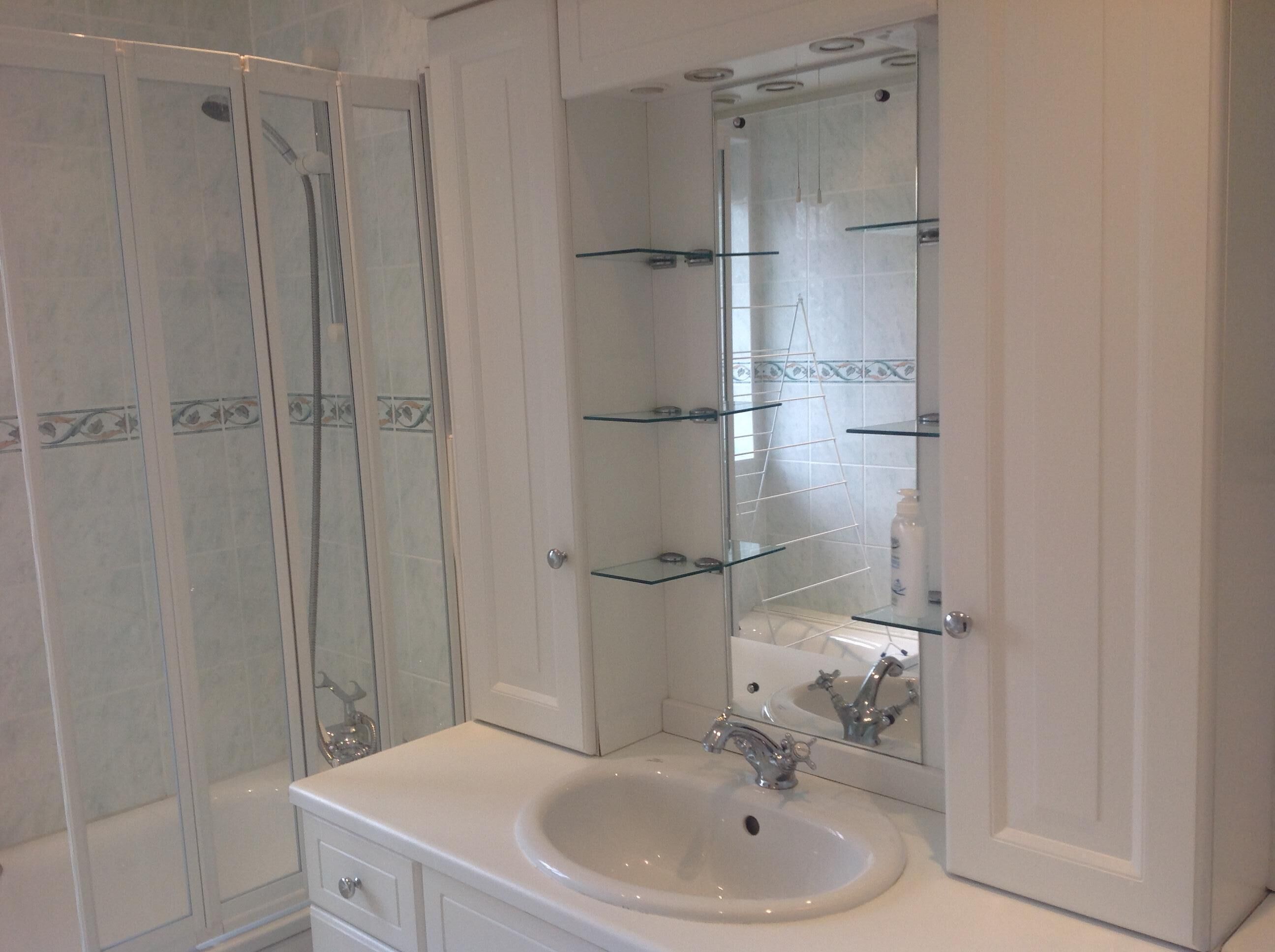 Combined shower/bathtub, hair dryer, bidet, towels