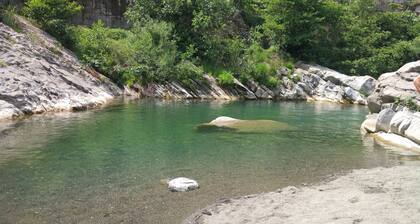 XVII SEC. WINE CELLAR, FULLY RENOVATED, WITH SHARED TERRACE AND POOL