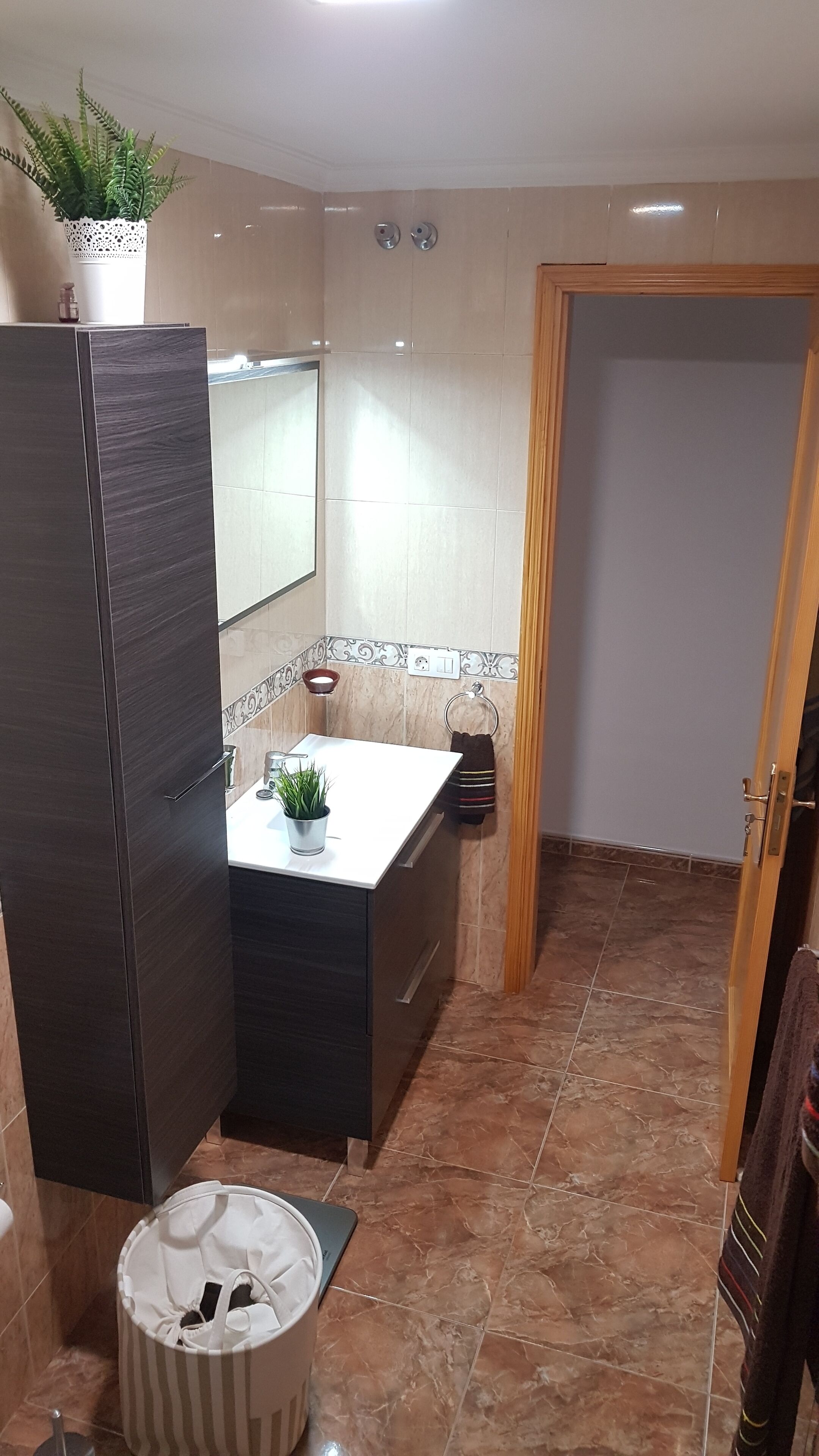 A compact bathroom with a dark wooden cabinet, a white sink with a small plant, a towel rack, and a trash bin.