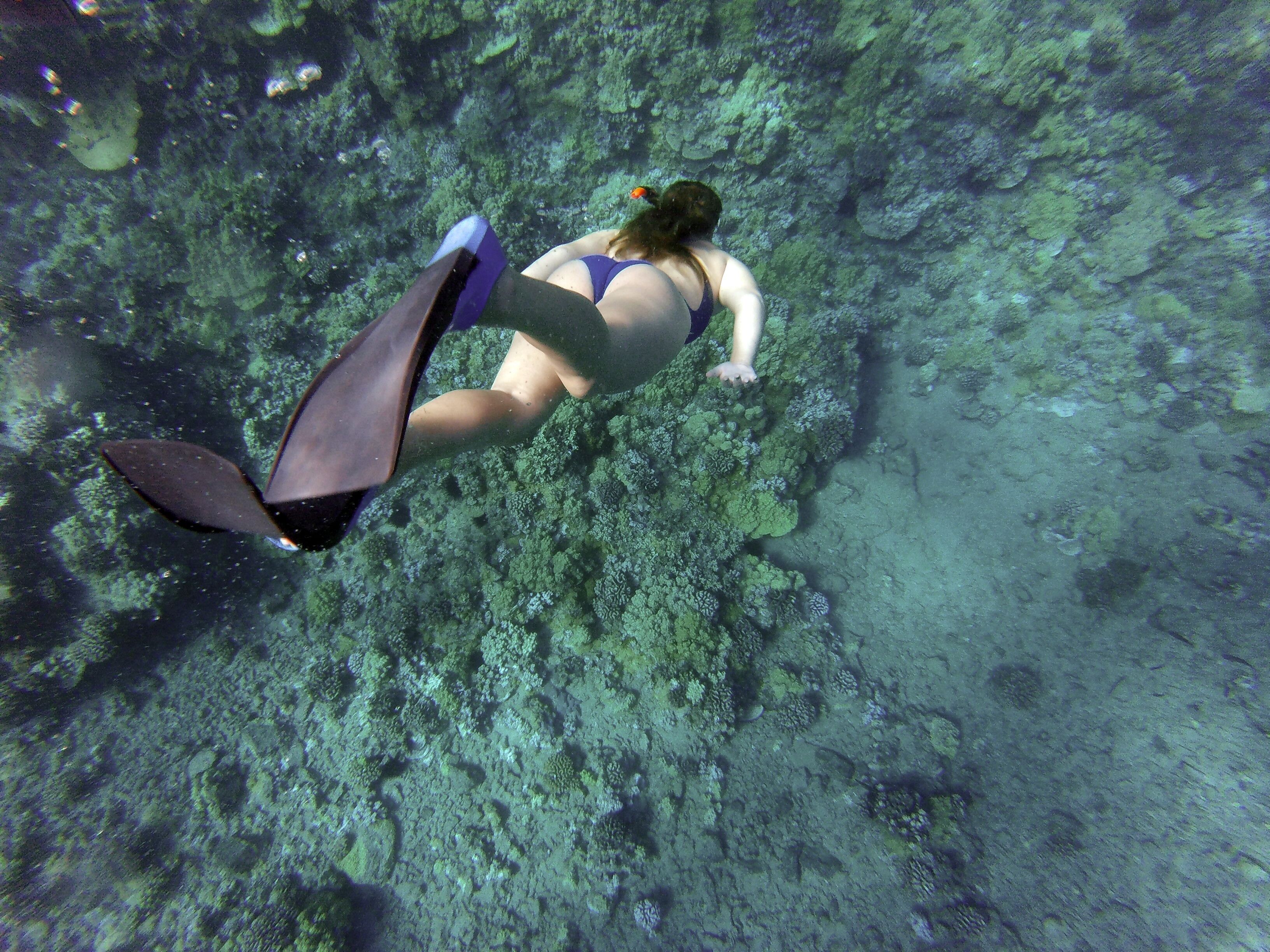 A diver underwater with fins, surrounded by marine life and coral formations.