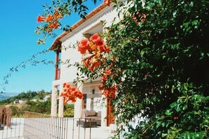 Property grounds - House of Steps - Santa Marinha do Zêzere (Baiao)