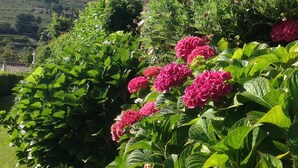 A lush garden with vibrant pink flowers and a stone building with a wooden pergola. - House of Steps - Santa Marinha do Zêzere (Baiao)