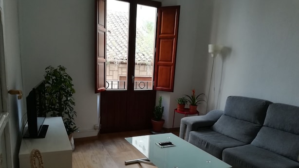 Ett vardagsrum med en grå soffa, ett soffbord i glas, en flätad stol och en tv som står på ett tv-bord. På ett litet bord står två krukväxter, och det finns en dörr med träpersienner.