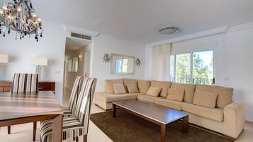 TV, fireplace, books