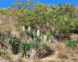 Terrain de lâhĂ©bergement