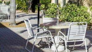 Un patio al aire libre con una mesa y sillas bajo una sombrilla, rodeado de palmeras y follaje.