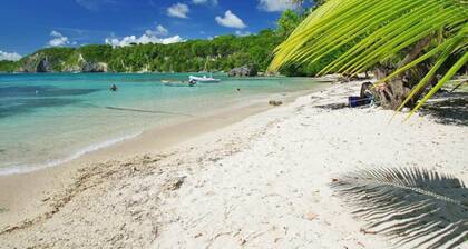 Magnifique T2+piscine Ă 20 mĂštres Plage sable Blanc PETIT-HAVRE