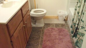 Tina con regadera, secadora de cabello, bidet, toallas 