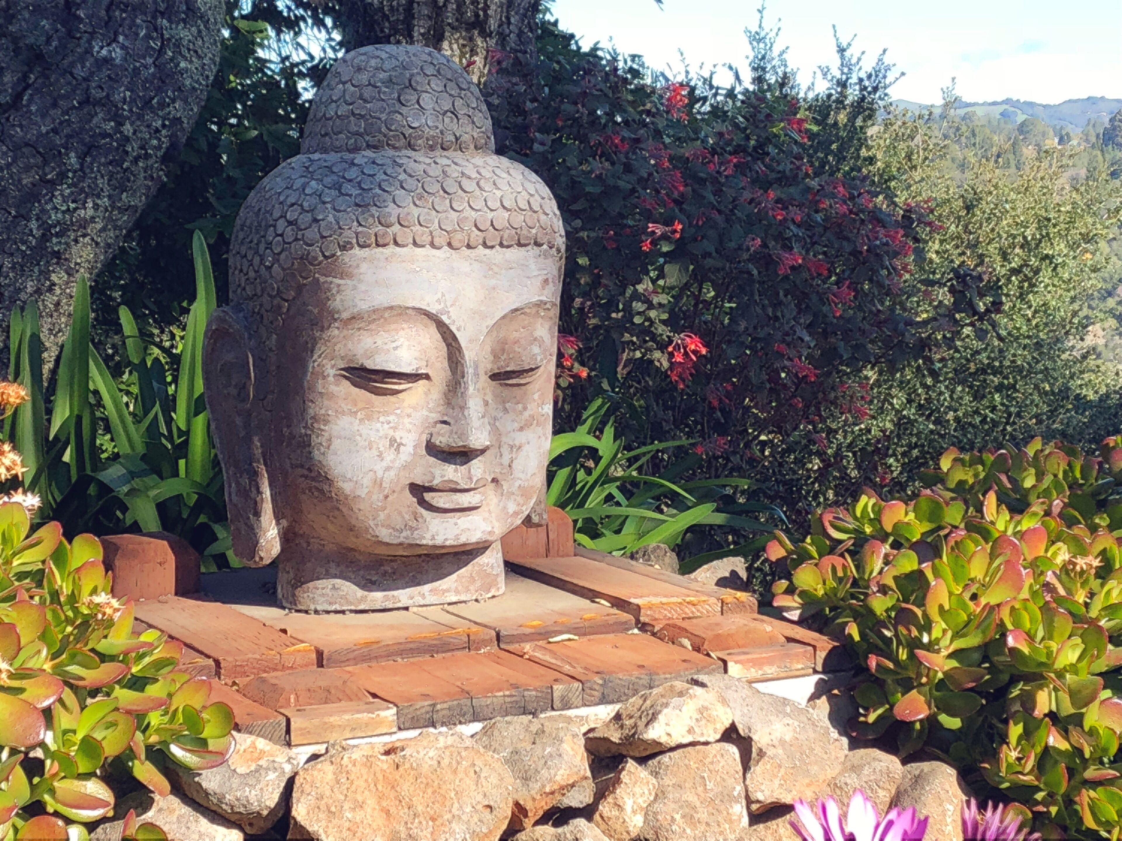 Art-Filled ORINDA ZEN Retreat. BREATHTAKING VIEWS! Minutes to BART, SAN FRANCISC