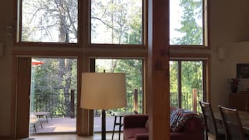 TV connectée, cheminée, lecteur de DVD, livres