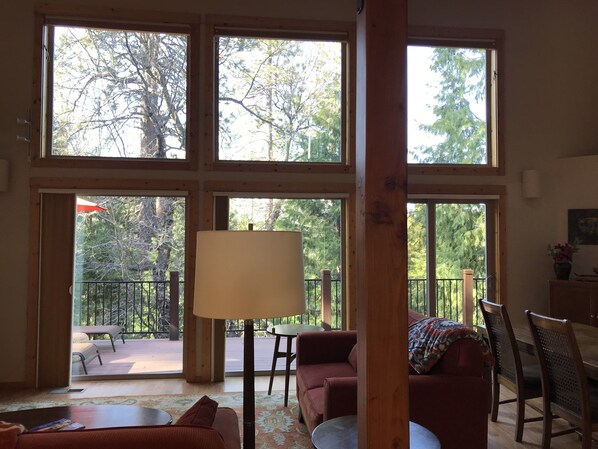 TV connectée, cheminée, lecteur de DVD, livres