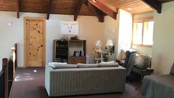 Älytelevisio, takka, DVD-soitin, kirjoja