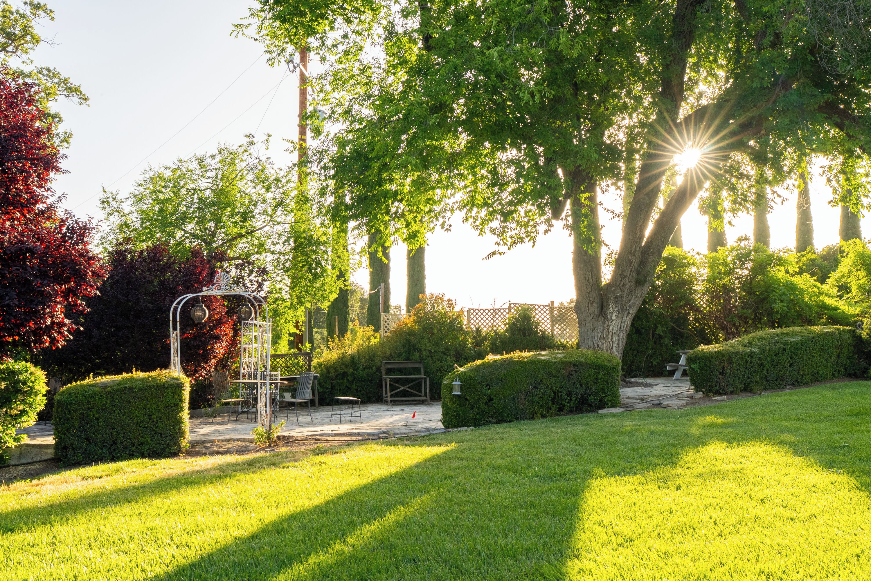 A garden with a metal gate, a bench, and a pathway.