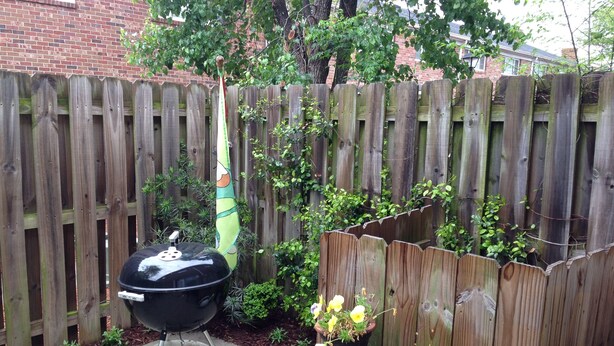 Ein Garten mit Grill, Blumentopf und einem kleinen Tisch mit Dekoration.