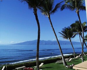 Property grounds - Best Ocean Front Views on Maui! Whale Watch From the Lanai or Living Room! (Lahaina)