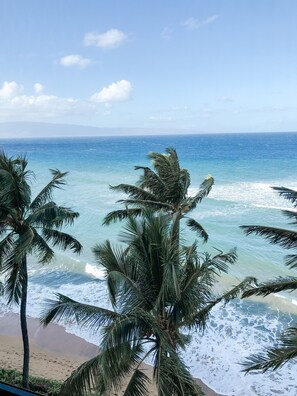 On the beach - Best Ocean Front Views on Maui! Whale Watch From the Lanai or Living Room! (Lahaina)