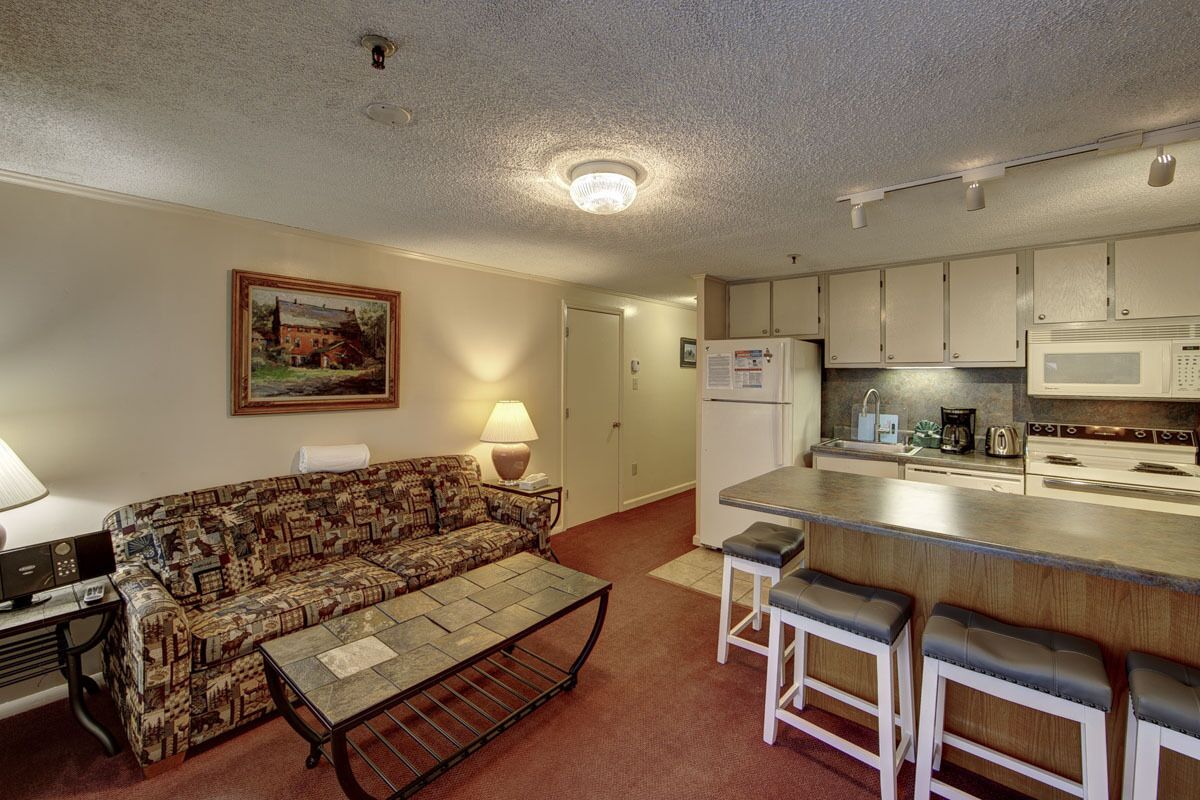 Mountain Lodge 1st Fl location, Slopeside, Lake view March specials available.