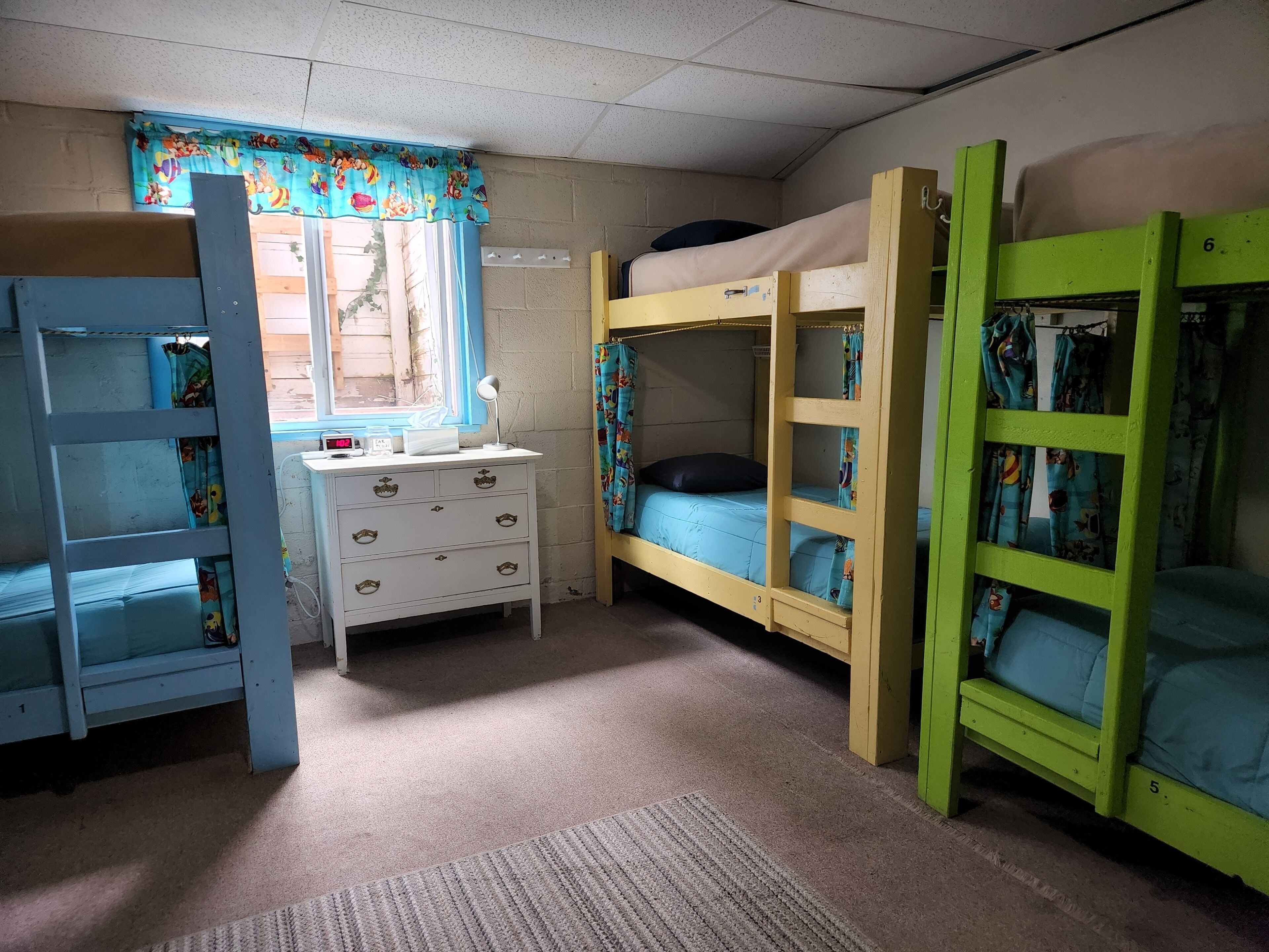 A dormitory room with bunk beds, a desk, and a dresser.