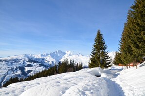 Snow and ski sports - Beautiful apartment for 8 people Les Arcs / La Rosiere / Bourg st Maurice (Séez)