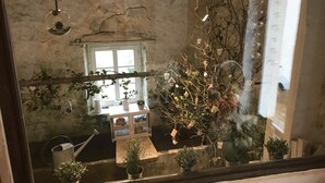 A rustic room with a large window, a wooden bench, and various potted plants. - High standing Vosges farmhouse, Les Bois du Cerf (Gérardmer)