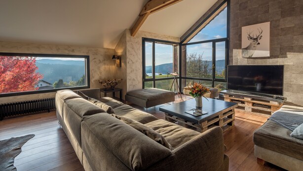 A spacious living room with a large window, a fireplace, and a television. - High standing Vosges farmhouse, Les Bois du Cerf (Gérardmer)
