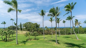 Ein Golfplatz mit Palmen und blauem Himmel.