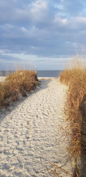 Plage, chaises longues