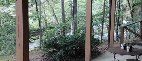 Restauration en plein air