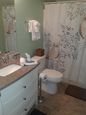 Combined shower/tub, hair dryer, towels, toilet paper