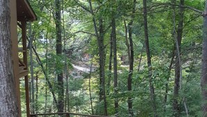 Un escalier en bois mène à une zone abritée, entourée d’arbres.