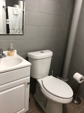 Combined shower/tub, hair dryer, towels, soap