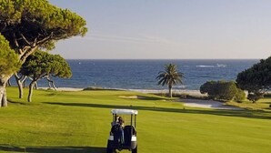 Un campo de golf con vista al océano y una palmera.