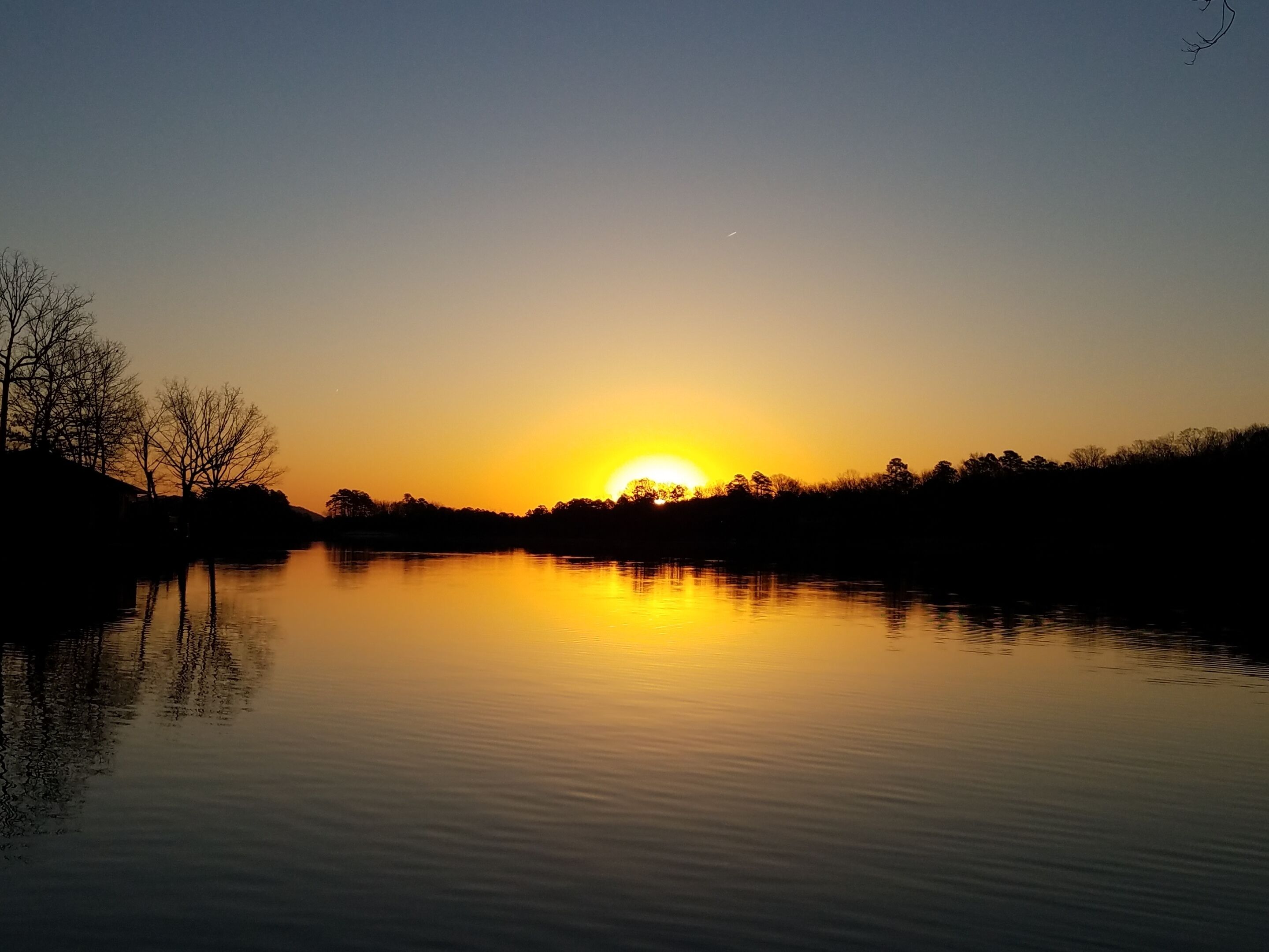 A sunset over a calm body of water with silhouettes of trees and a clear sky.