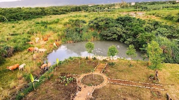 ギャラリー ダブルルーム 禁煙 | レイク ビュー