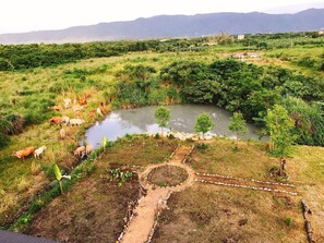 Dobbeltrom – gallery, ikke-røyk | Utsikt mot innsjø