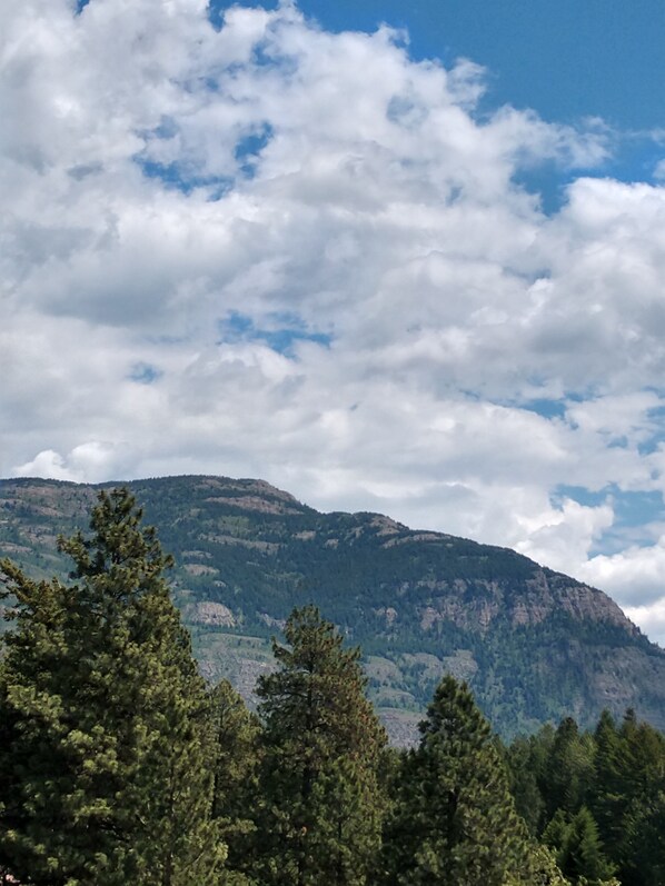 Berglandschaft mit dichtem Wald im Vordergrund und klarem Himmel darüber.
