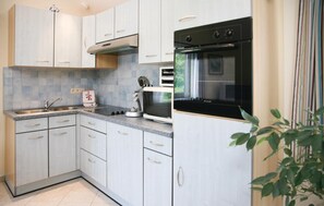 Fridge, stovetop, dishwasher, coffee/tea maker