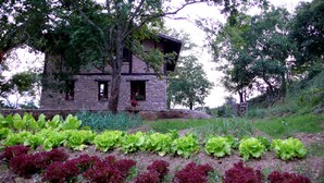 Un bâtiment en pierre doté d’un balcon en bois, entouré d’un jardin où poussent différentes espèces de plantes à feuilles.