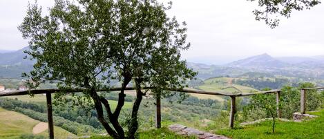 A tree with a wooden fence in a hilly landscape.