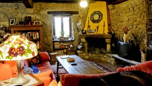 Un salon chaleureux avec une cheminée en pierre, un téléviseur et une bibliothèque.